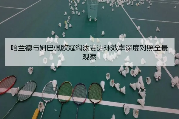 哈兰德与姆巴佩欧冠淘汰赛进球效率深度对照全景观察
